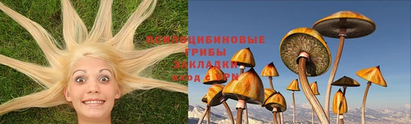 прущая мука Алзамай