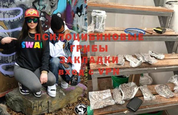 PSILOCYBIN Алексеевка