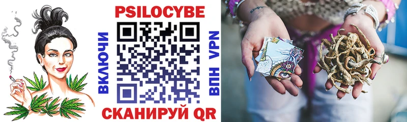 купить наркотик Краснознаменск Псилоцибиновые грибы Magic Shrooms